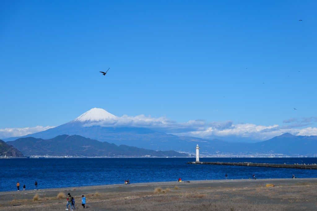 清水の海岸から見る富士山と灯台、鳥が飛ぶ冬晴れの風景